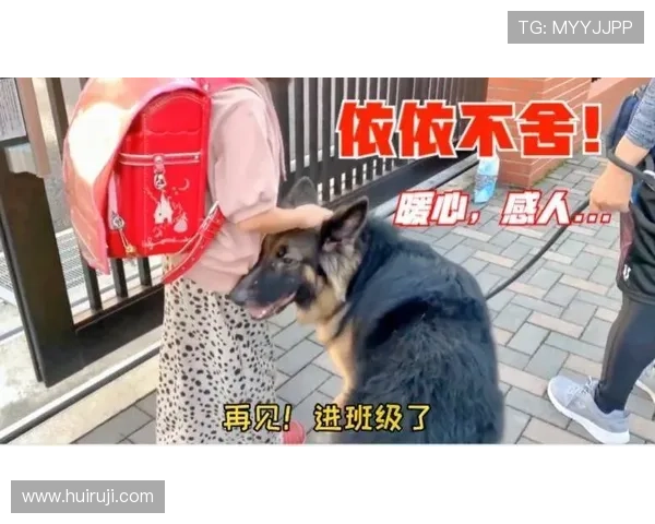 好狗先生携手众人揭开都市情感迷雾谱写暖心成长群像故事 好狗先生携手众人揭开都市情感迷雾谱写暖心成长群像故事